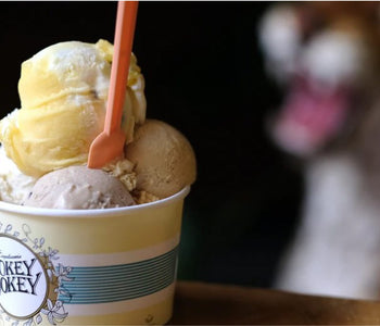 Kritik der Berliner Zeitung